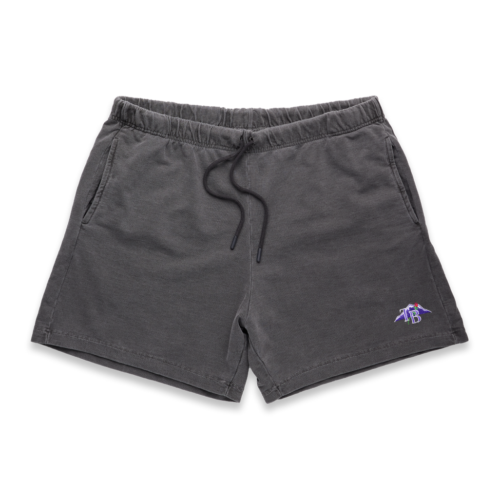 CIVIC TL SHORTS - WASHED GREY - TRILLBLAZIN